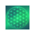 Flower of Life Green Square Magnet — Sacred Geometry Refrigerator Magnet