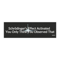 Bumper Magnet — "Schrödinger's Effect Activated: You Only Think You Observed That"