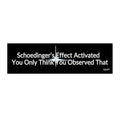 Bumper Sticker — "Schoedinger's Effect Activated: You Only Think You Observed That" Funny Science Car Decal