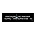 Schrödinger’s Effect Activated Bumper Sticker — Funny Science Car Decal