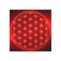Red Neon Flower of Life Square Magnet — Spiritual Geometry Fridge Magnet